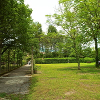 Il giardino dell Oasi