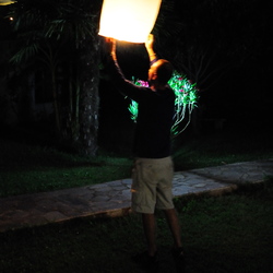 Festa di arrivederci (luglio 2011)